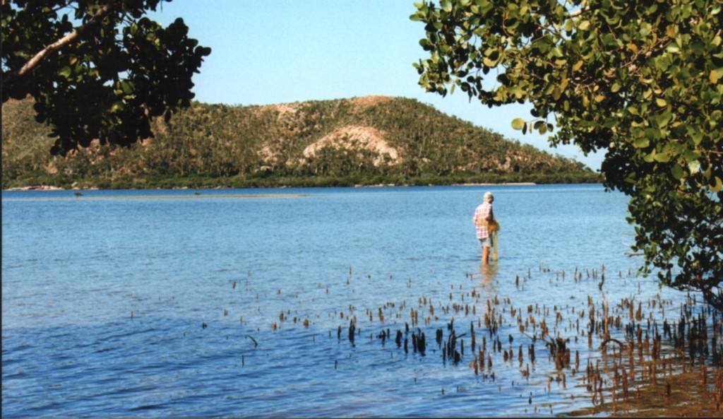 Pêche à l'épervier
